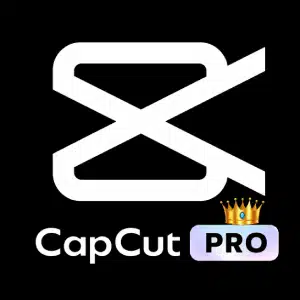 CapCut Pro APK
