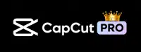 CapCut Pro APK